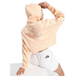 The North Face Coordinates Back Print Hoodie